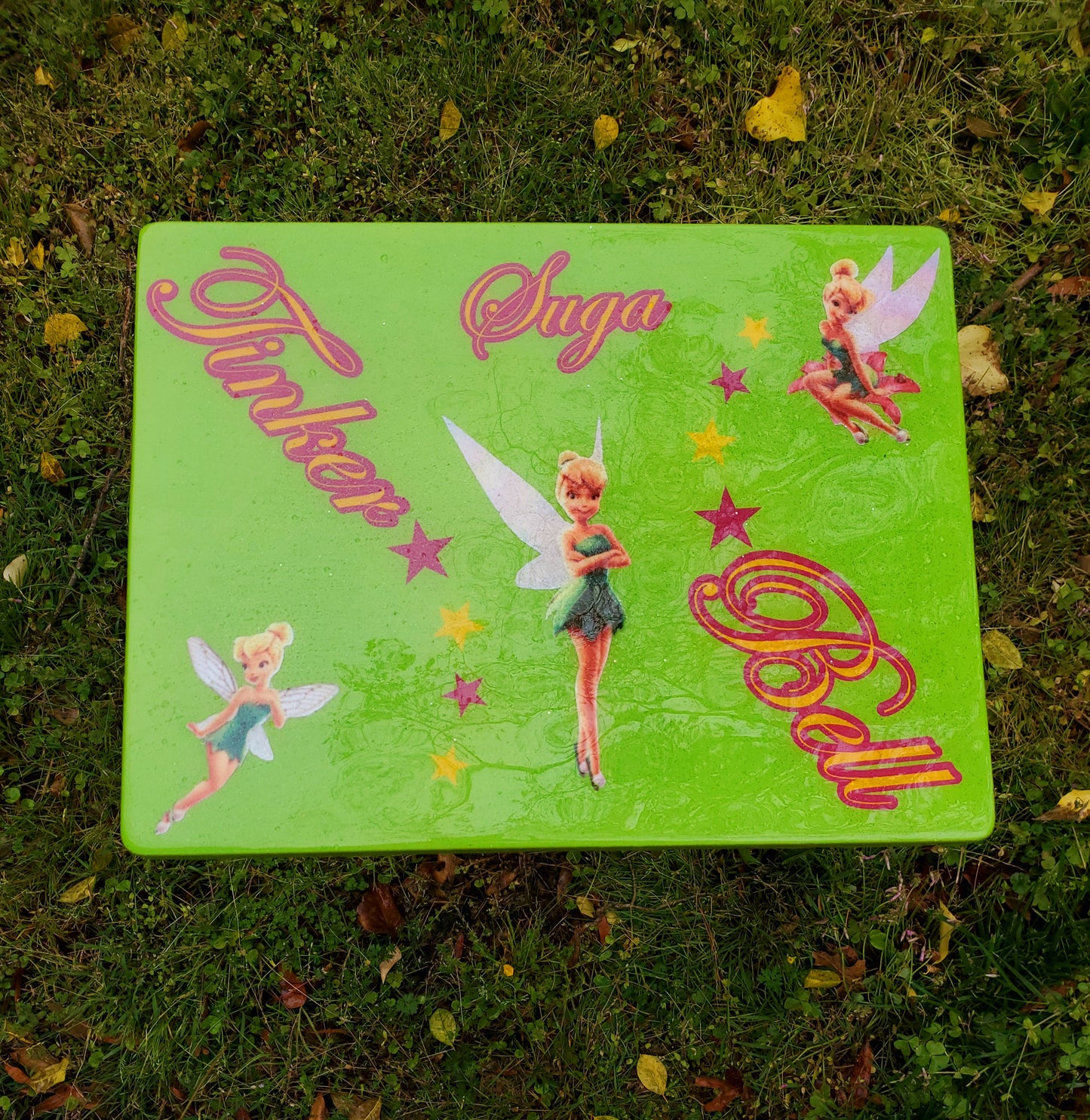 TV Dinner Tray