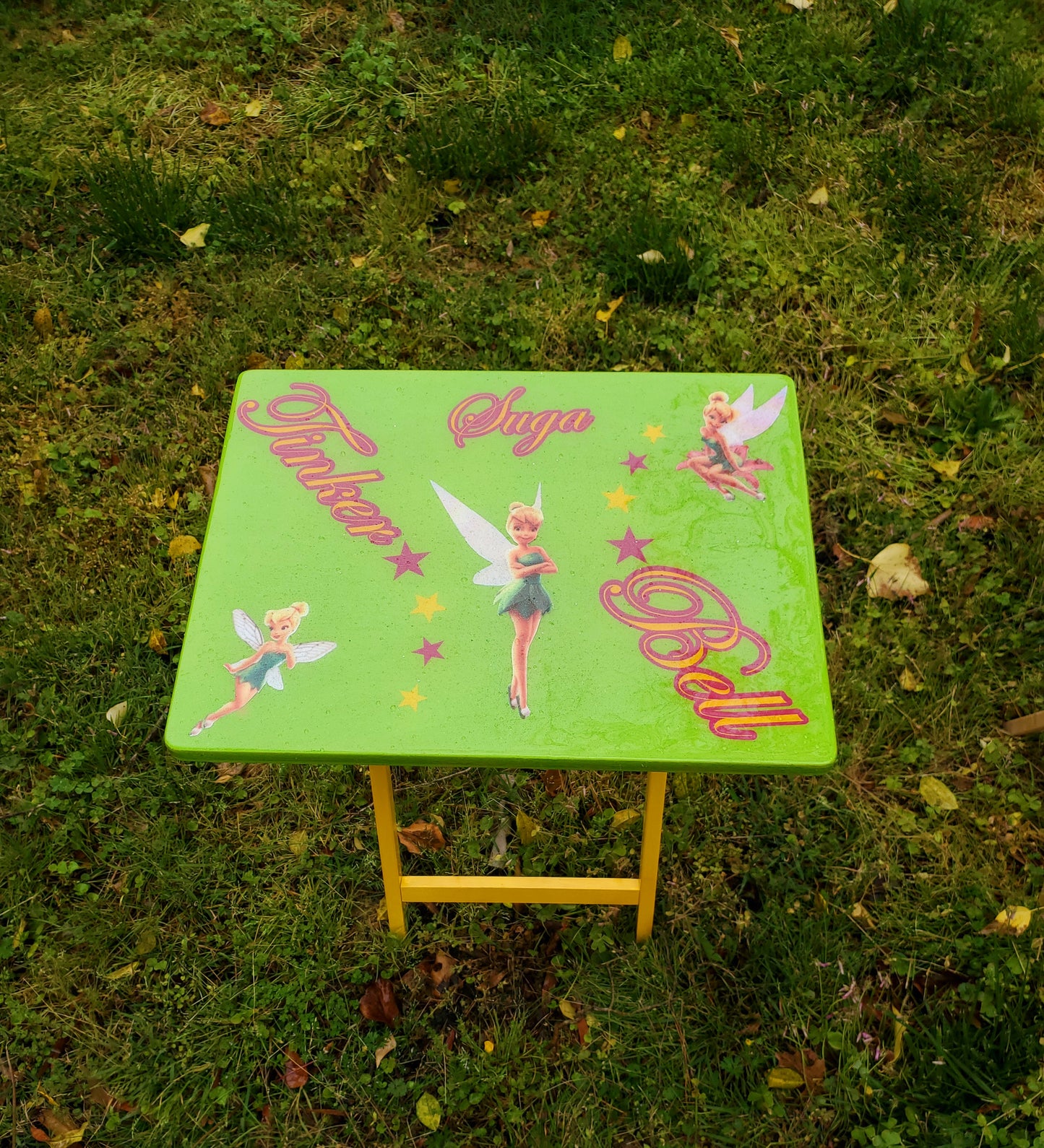 TV Dinner Tray